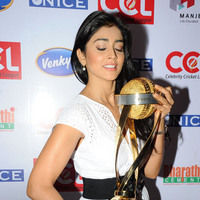 Shriya Saran new pictures | Picture 47206